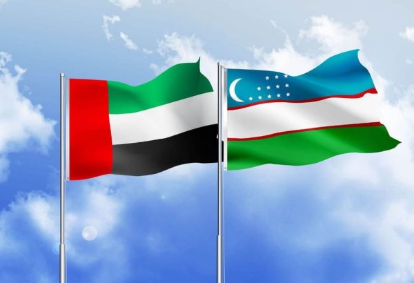 Uzbekistan hosts over 400 enterprises with UAE capital