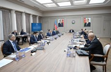 Azerbaijan's Economic Council digs deep into strategic issues at meeting (PHOTO)