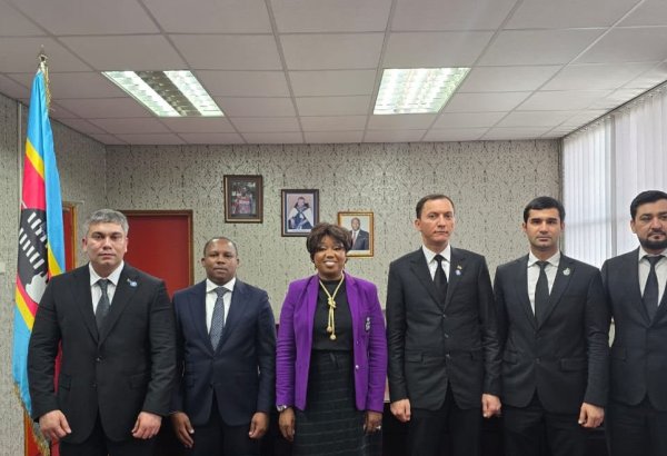 Turkmenistan, Eswatini discuss ICT cooperation and digital innovation