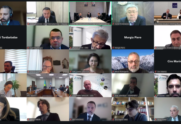 Azerbaijan, Central Asian nations launch feasibility study for Green Energy Corridor project