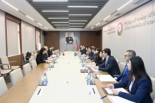 Azerbaijan, Serbia hold political consultations (PHOTO)