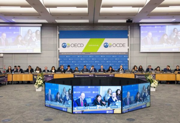 Azerbaijan outlines its economic development priorities at OECD Eurasia Week 2026 (PHOTO)