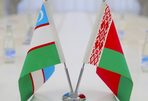 Uzbekistan unveils expanding footprint of Belarusian businesses