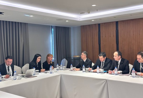 Turkmenistan, U.S.-based Starlink discuss digital and satellite cooperation