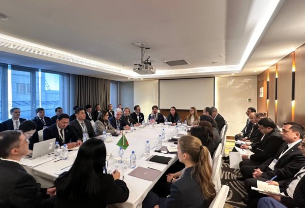 Turkmenistan discusses economic diversification with U.S. business