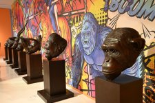 Heydar Aliyev Center hosts 'Superheroes of Wildlife' exhibition (PHOTO/VIDEO)