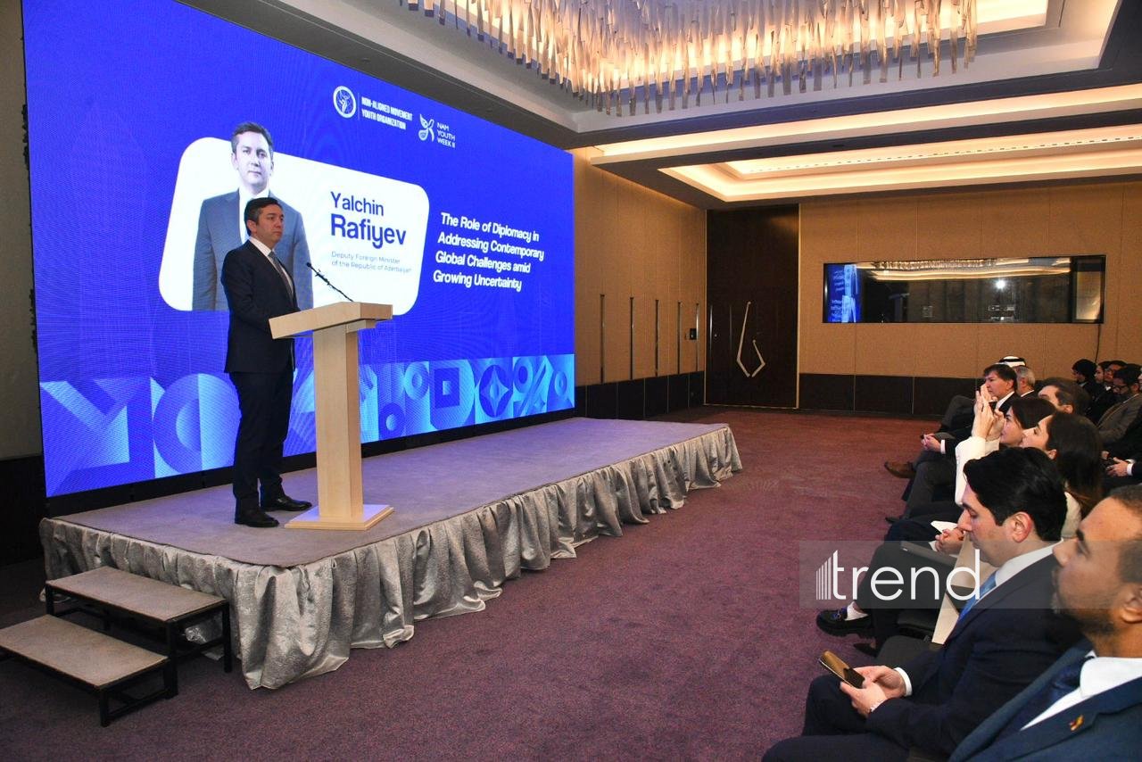 Azerbaijan stands ready to mediate on several int'l issues, Deputy FM says