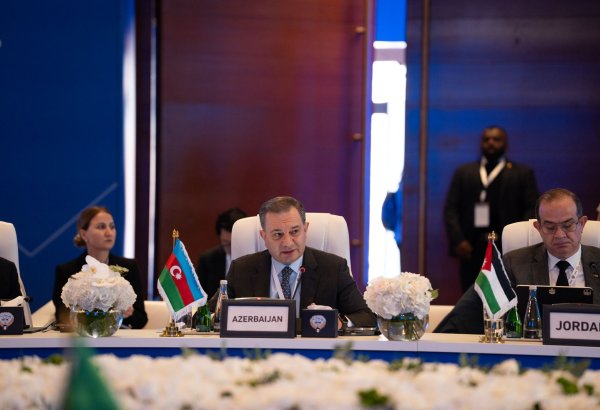 Azerbaijan joins 5th General Assembly of Digital Cooperation Organization (PHOTO)