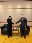 Azerbaijan joins 5th General Assembly of Digital Cooperation Organization (PHOTO)