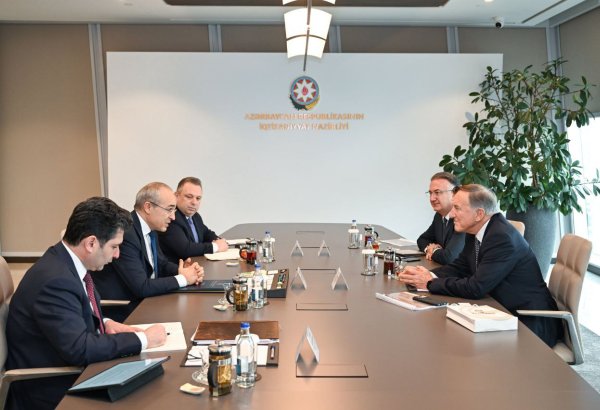 Azerbaijan brainstorms business opportunities with Turkish company