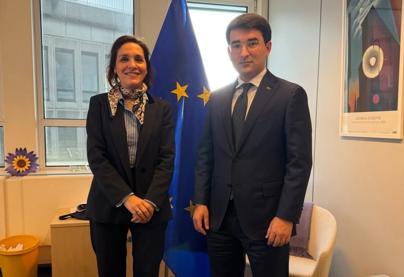 Turkmenistan, EU discuss prospects for institutional energy cooperation