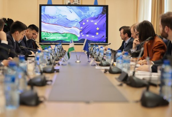 Uzbekistan, EU review partnership in energy and industrial development
