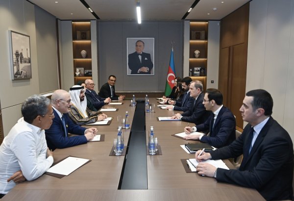 Azerbaijani FM, Arab delegation moot regional security in Middle East, S. Caucasus (PHOTO)
