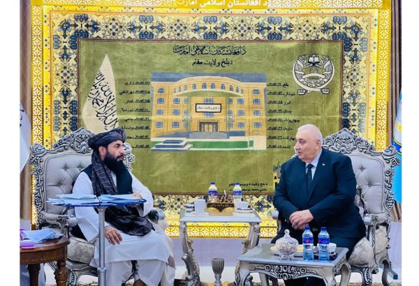 Turkmenistan, Afghanistan discuss trade, transport and energy cooperation