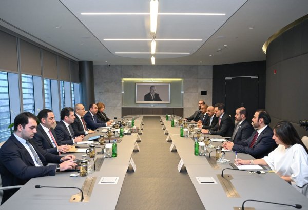 Azerbaijan, UAE discuss expansion of mutual investments