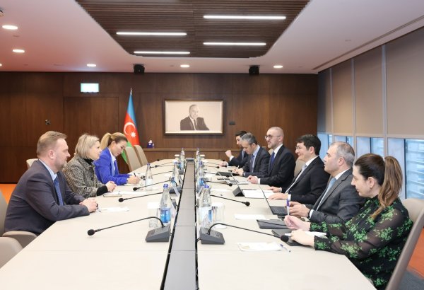 Azerbaijan explores creation of Microsoft digital capability center (PHOTO)