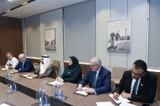 Azerbaijani FM, Arab delegation moot regional security in Middle East, S. Caucasus (PHOTO)