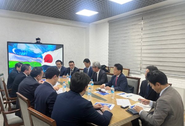 Uzbekistan, Japanese firms discuss accelerating new Tashkent airport project