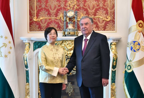 Tajikistan, AIIB strengthen cooperation on hydropower projects