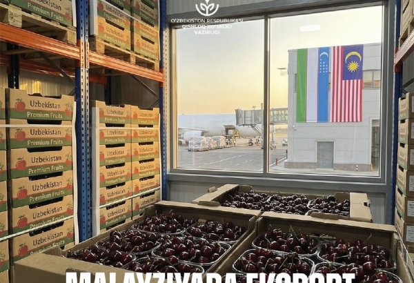 Uzbekistan, Malaysia discuss expanding fruit and vegetable exports