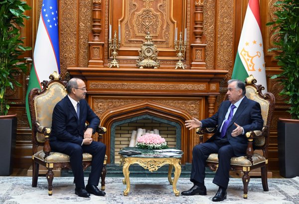 Tajikistan and Uzbekistan discuss opportunities for co-op across key sectors