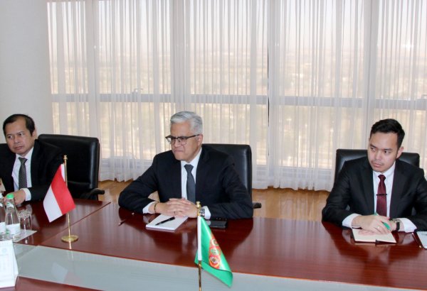 Turkmenistan, Indonesia map out prospects for enhanced partnership