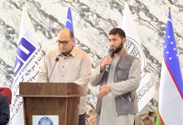 Uzbek-Afghan business partnership soars with multi-million dollar deals