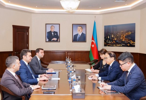 Azerbaijan and Japan discuss launch of direct flights