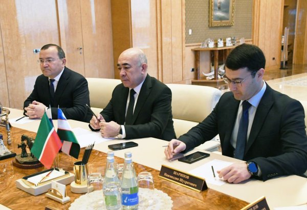 Uzbekistan, Russia's Tatarstan discuss joint projects in industry and petrochemicals
