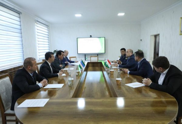 Uzbekistan, Tajikistan agree to increase daily freight train exchanges