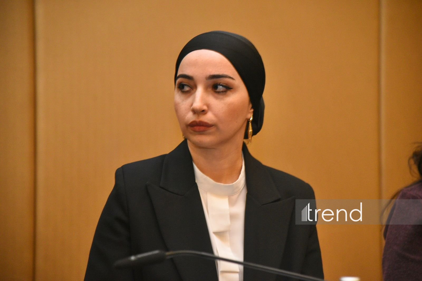 Int'l conference 'C6: One region, shared future – enhancing strategic dialogue' wraps up in Baku (PHOTO)