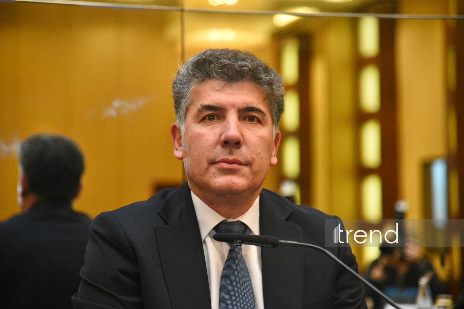 Common strategic interests strengthen co-op between Azerbaijan and Central Asia - analyst