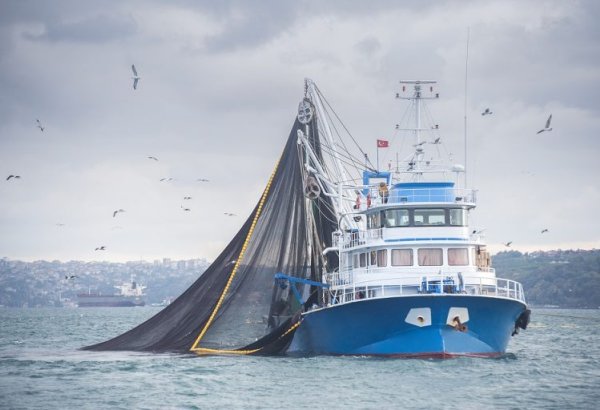 Turkmenistan sees growth in fish imports from Russia's Astrakhan