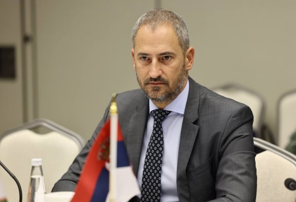 Uzbekistan, Serbia set sights on strengthening ties with trade houses in capitals