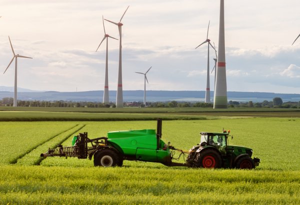 Turkmenistan increases food exports in 2025