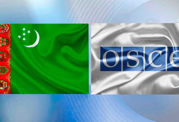 Turkmenistan, OSCE discuss cooperation in migration sector