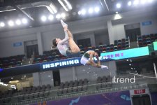 Baku hosts Trampoline and Tumbling World Cup (PHOTO)