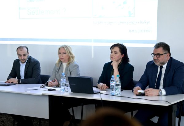 National Bank of Georgia outlines Chinese yuan reserve diversification strategy