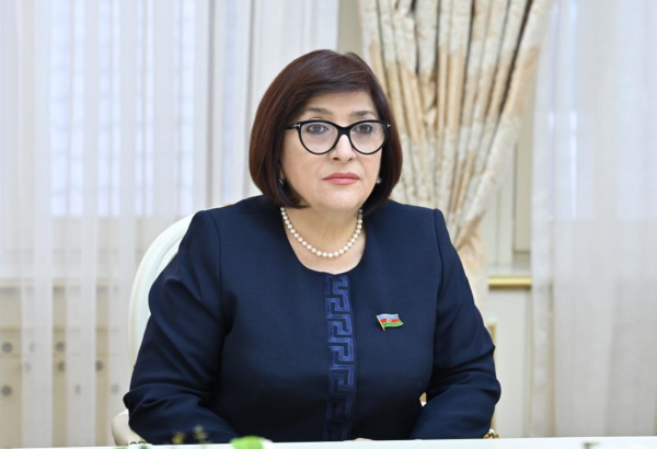 Azerbaijani and Georgian parliaments discuss regional peace issues