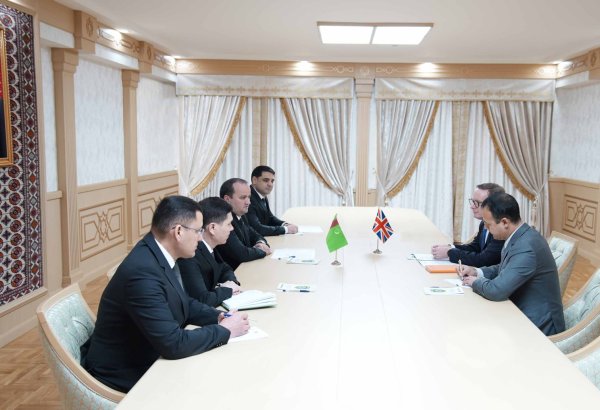 Turkmenistan and UK discuss strategies for migration cooperation