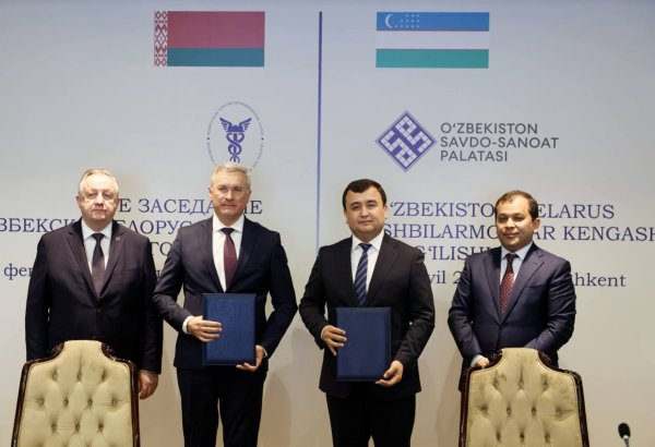 Uzbekistan, Belarus expand ties with 12 agreements