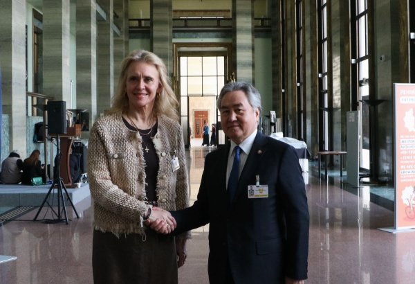 Kyrgyzstan, Iceland focus on strengthening economic cooperation