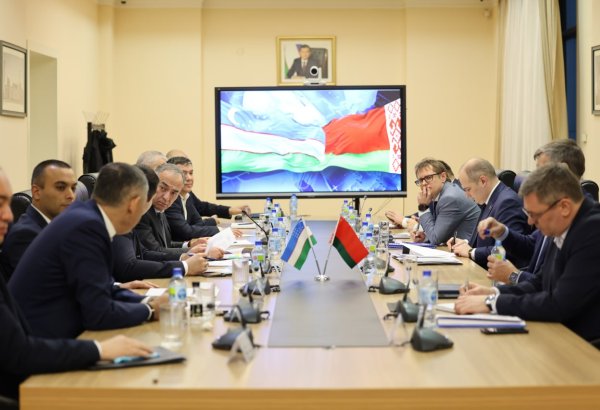 Uzbekistan, Belarus to develop industrial cooperation roadmap through 2030