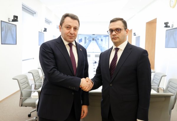 Azerbaijani and Armenian deputy foreign ministers meet in Geneva (PHOTO)