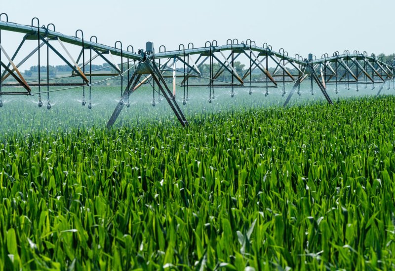 Kazakhstan pilot project tests modern irrigation tech for Central Asia - EDB (Exclusive)