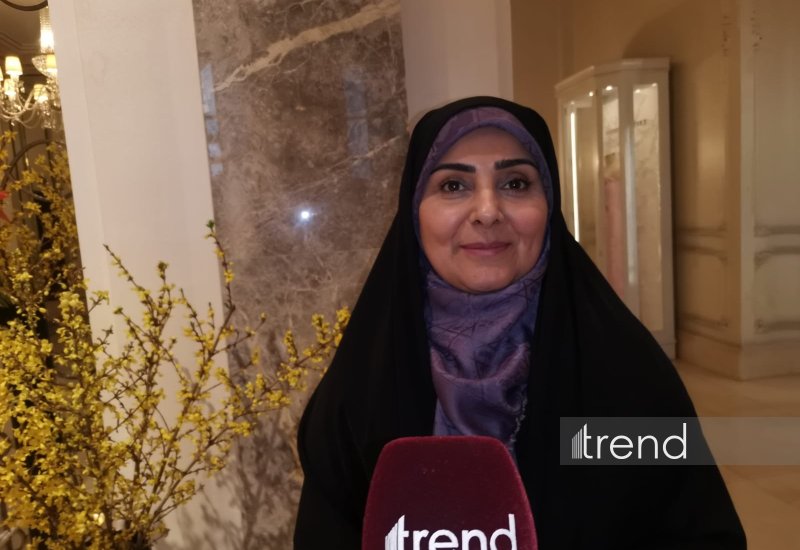 Iran pushes to launch rail link in North-South Transport Corridor - minister (Exclusive Interview)