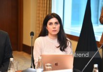 BCCA together with British Embassy Baku hosts roundtable discussion on water security in Azerbaijan (PHOTO)