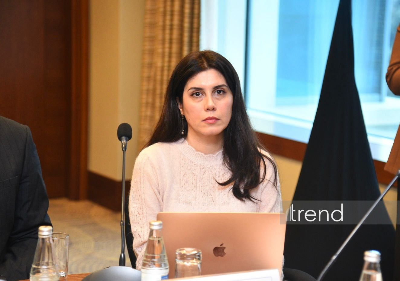 BCCA together with British Embassy Baku hosts roundtable discussion on water security in Azerbaijan (PHOTO)