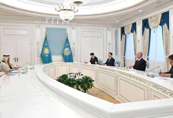 Kazakhstan, Power International Holding discuss joint energy and telecom projects