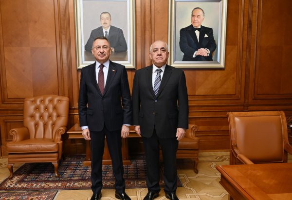 Azerbaijani PM hosts Chairperson of Turkish Parliament’s Foreign Affairs Committee